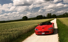  Dodge Viper       